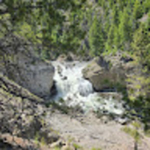 Meet your Posher, Bambina